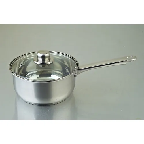 Stainless Steel Saucepan